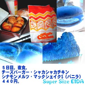 マクドナルド、5日目。早朝。 5日目の早朝。