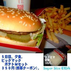 マクドナルド、5日目。夜。 5日目の夜。