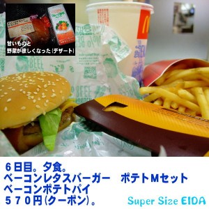 マクドナルド、6日目。夜。 6日目の夜。